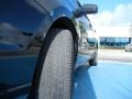 Ebony Black - Focus SES Sedan Photo No. 12