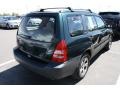 2003 Woodland Green Pearl Subaru Forester 2.5 X  photo #2