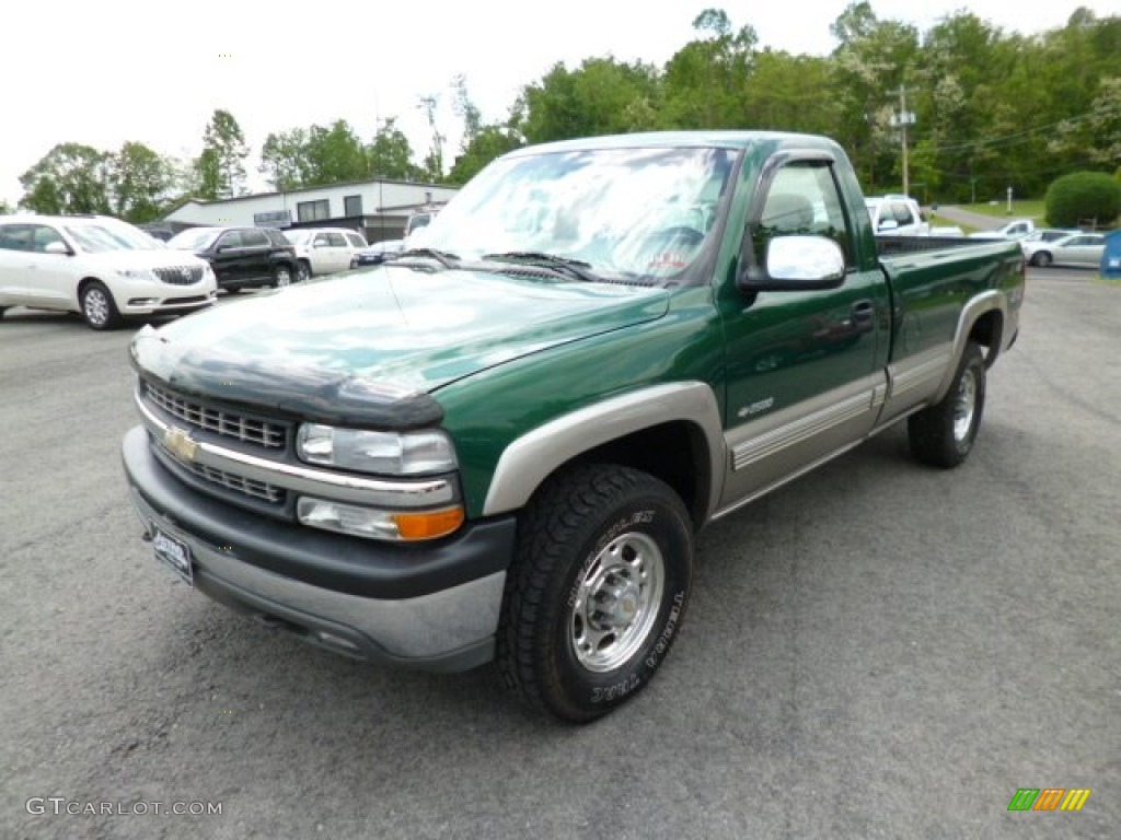 1999 Silverado 2500 LS Regular Cab 4x4 - Meadow Green Metallic / Graphite photo #3