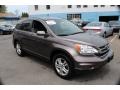 2010 Urban Titanium Metallic Honda CR-V EX-L AWD  photo #3