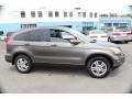 2010 Urban Titanium Metallic Honda CR-V EX-L AWD  photo #5