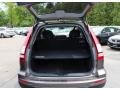 2010 Urban Titanium Metallic Honda CR-V EX-L AWD  photo #6