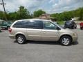 Linen Gold Metallic - Grand Caravan SXT Photo No. 8