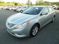 Radiant Silver - Sonata GLS Photo No. 3
