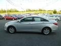 Radiant Silver - Sonata GLS Photo No. 4