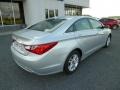 Radiant Silver - Sonata GLS Photo No. 7