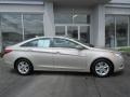 Camel Pearl - Sonata GLS Photo No. 2