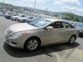 Camel Pearl - Sonata GLS Photo No. 5