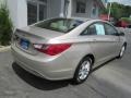 Camel Pearl - Sonata GLS Photo No. 7