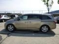 Mocha Metallic - Odyssey Touring Elite Photo No. 6
