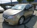 Mocha Metallic - Odyssey Touring Elite Photo No. 7