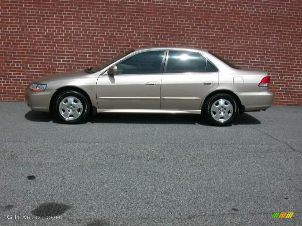 2002 Accord EX V6 Sedan - Naples Gold Metallic / Ivory photo #11