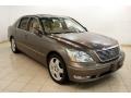 2005 Briarwood Pearl Lexus LS 430 Sedan #81349323