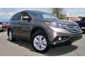 Urban Titanium Metallic - CR-V EX 4WD Photo No. 21