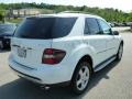 Arctic White - ML 350 4Matic Photo No. 5