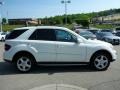 Arctic White - ML 350 4Matic Photo No. 6