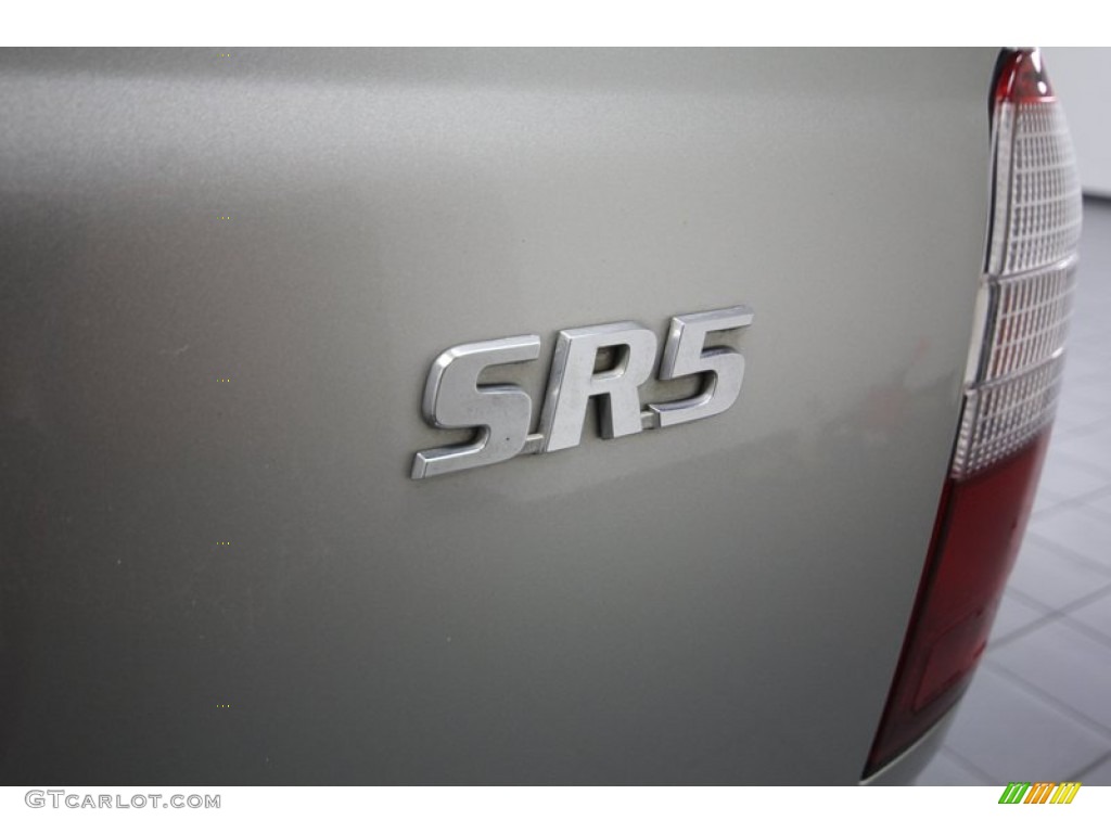 1999 4Runner SR5 - Millennium Silver Metallic / Oak photo #38
