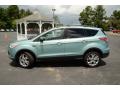 Frosted Glass Metallic 2013 Ford Escape SE 2.0L EcoBoost 4WD Exterior