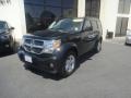 Black - Nitro SLT 4x4 Photo No. 1