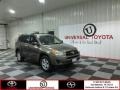 Pyrite Metallic 2010 Toyota RAV4 I4