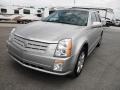 Light Platinum - SRX V6 Photo No. 3