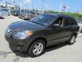 Cabo Bronze - Santa Fe GLS AWD Photo No. 5