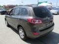Cabo Bronze - Santa Fe GLS AWD Photo No. 7