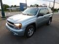 2006 Silver Blue Metallic Chevrolet TrailBlazer LS 4x4  photo #3