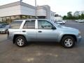 2006 Silver Blue Metallic Chevrolet TrailBlazer LS 4x4  photo #8