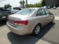 Golden Beige - Sonata GLS Photo No. 6