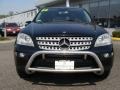 Black - ML 350 4Matic Photo No. 2