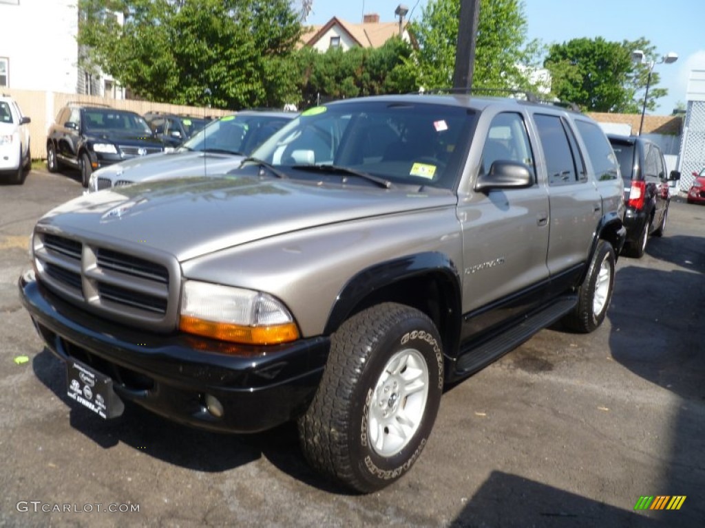 2001 Durango SLT 4x4 - Light Pewter Metallic / Dark Slate Gray photo #3