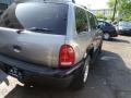 Light Pewter Metallic - Durango SLT 4x4 Photo No. 8
