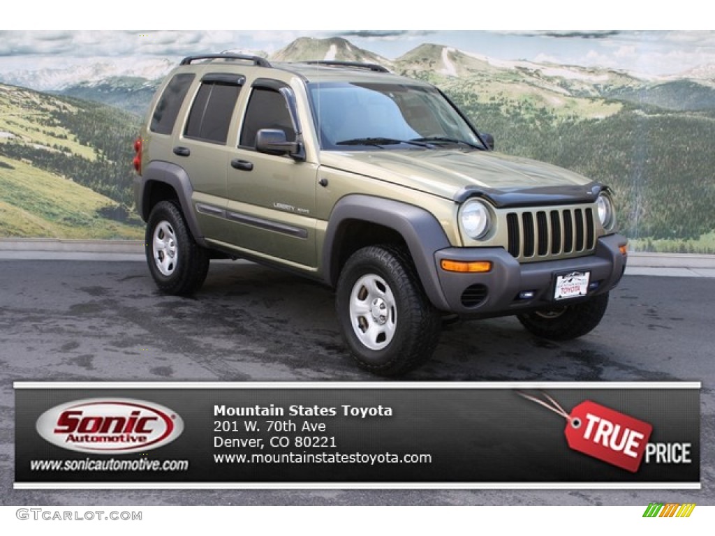 2003 Liberty Sport 4x4 - Cactus Green Pearl / Dark Slate Gray photo #1