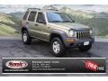 2003 Cactus Green Pearl Jeep Liberty Sport 4x4 #81348761