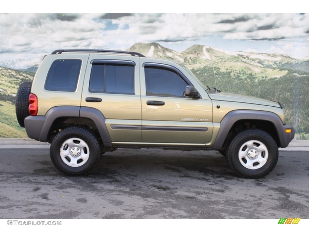 Cactus Green Pearl 2003 Jeep Liberty Sport 4x4 Exterior Photo #81393369