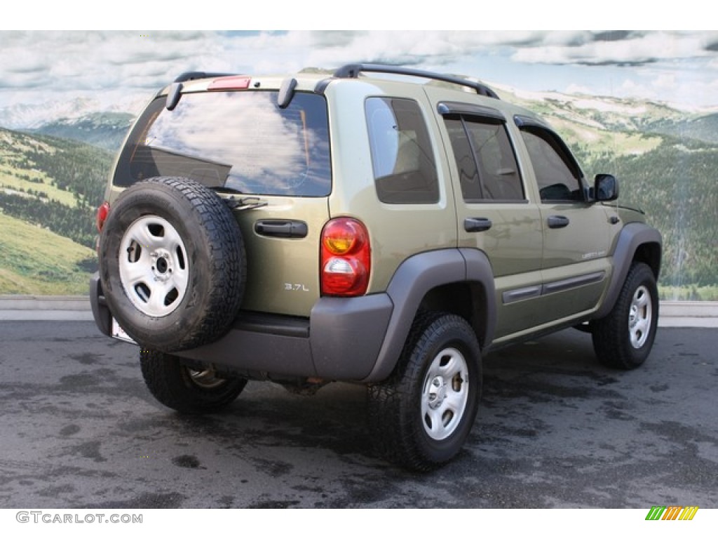 2003 Liberty Sport 4x4 - Cactus Green Pearl / Dark Slate Gray photo #3