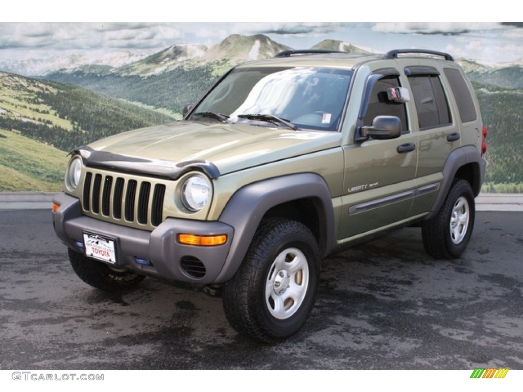 2003 Liberty Sport 4x4 - Cactus Green Pearl / Dark Slate Gray photo #5