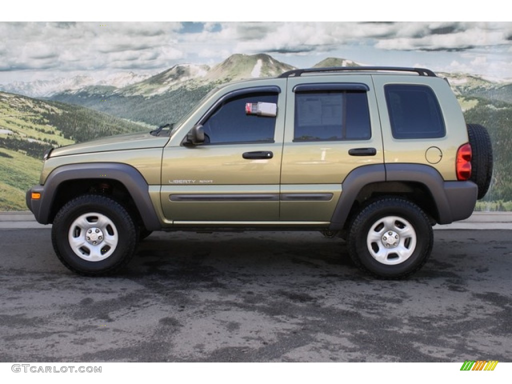 2003 Liberty Sport 4x4 - Cactus Green Pearl / Dark Slate Gray photo #6