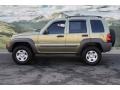 2003 Cactus Green Pearl Jeep Liberty Sport 4x4  photo #6
