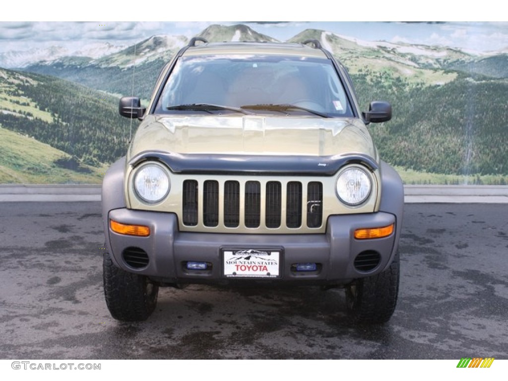 2003 Liberty Sport 4x4 - Cactus Green Pearl / Dark Slate Gray photo #7