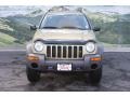 2003 Cactus Green Pearl Jeep Liberty Sport 4x4  photo #7