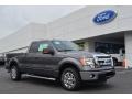 Sterling Gray Metallic 2013 Ford F150 XLT SuperCab Exterior