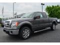 Sterling Gray Metallic 2013 Ford F150 XLT SuperCab Exterior