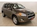 2010 Pyrite Metallic Toyota RAV4 Limited 4WD  photo #1