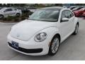 Candy White - Beetle 2.5L Photo No. 3