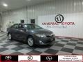 Magnetic Gray Metallic - Camry XLE Photo No. 1