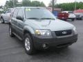 2006 Titanium Green Metallic Ford Escape XLT  photo #1