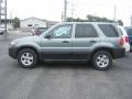 2006 Titanium Green Metallic Ford Escape XLT  photo #2