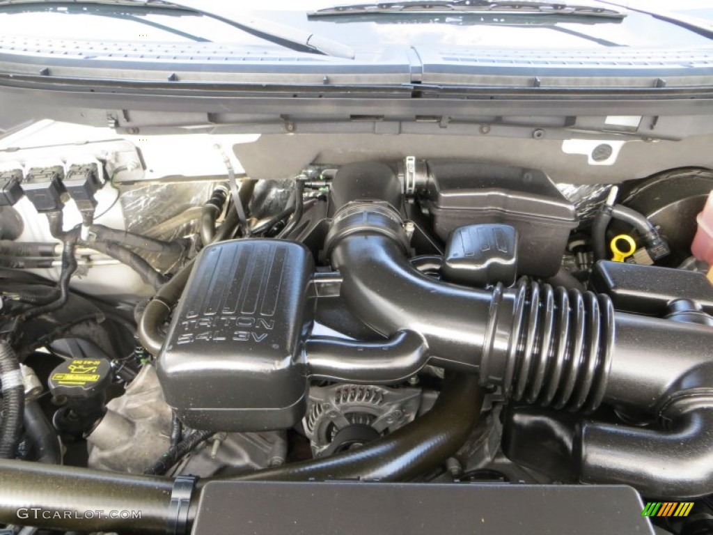 2010 Ford F150 King Ranch SuperCrew 5.4 Liter Flex-Fuel SOHC 24-Valve VVT Triton V8 Engine Photo #81421938